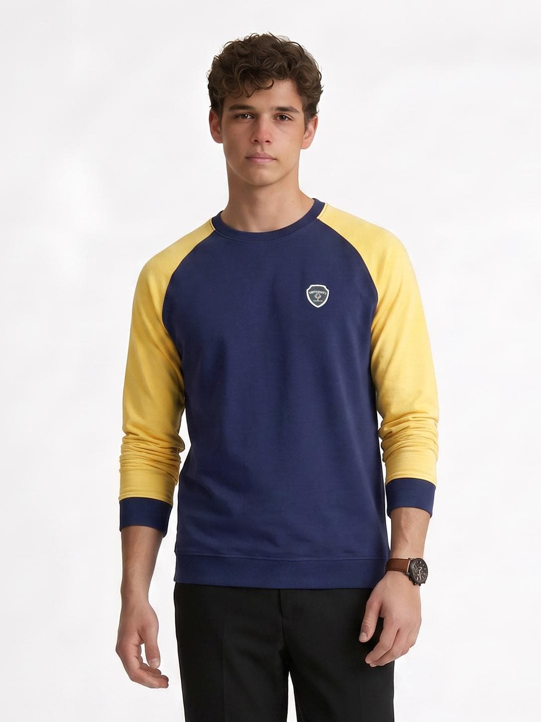 Peter England Colourblocked Printed Sweatshirt