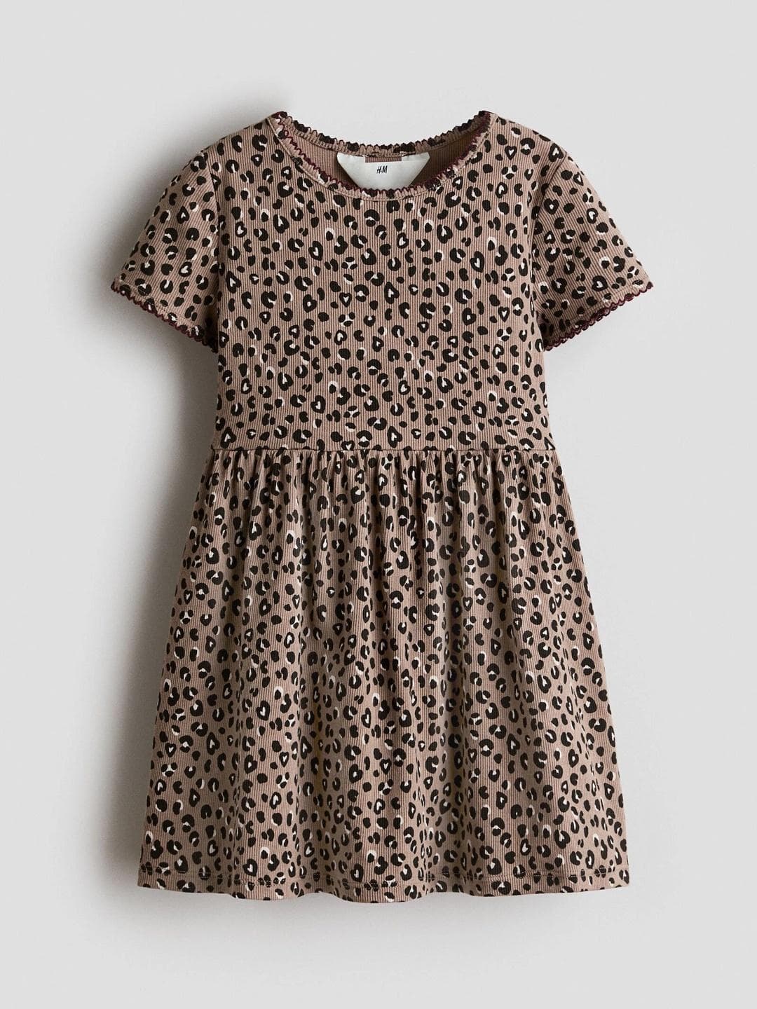 H&M Animal Print A Line Dress