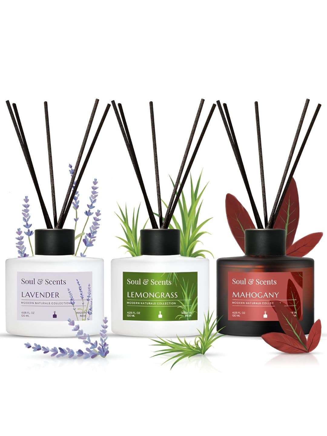 SOUL & SCENTS 3 Pcs White & Green Reed Aroma Oil Diffuser & Sticks120mlEach